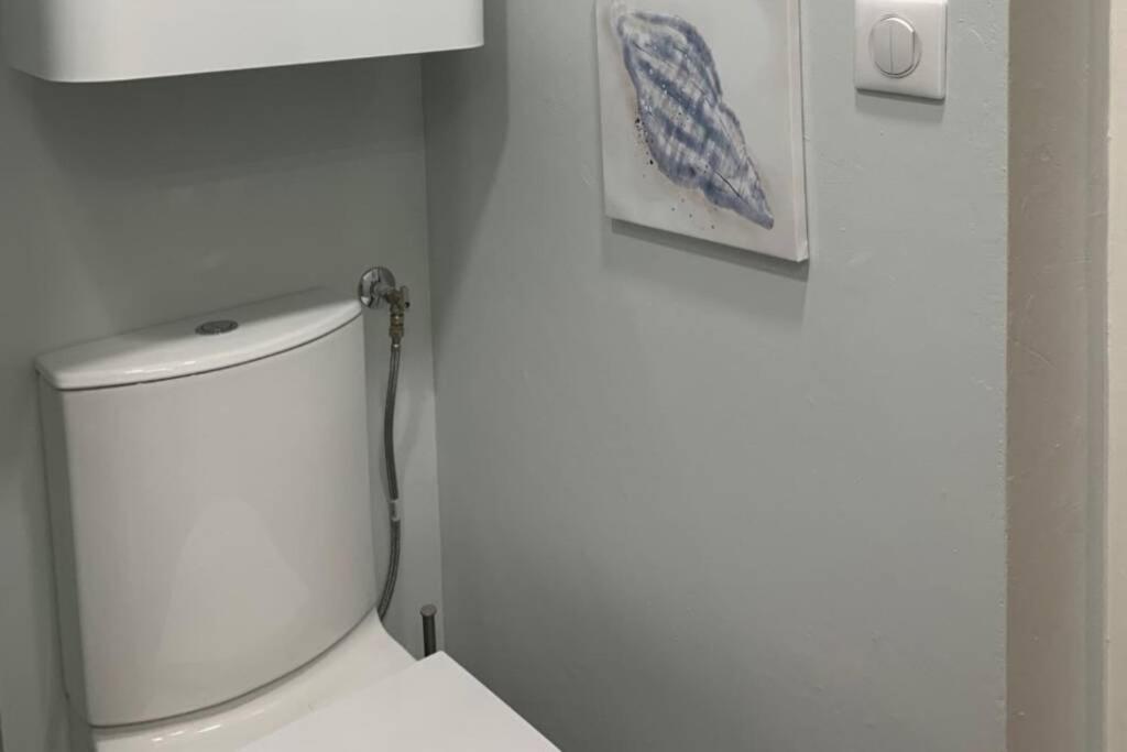 Joli Appartement Haut Standing En Hyper Centre Toulouse Kültér fotó